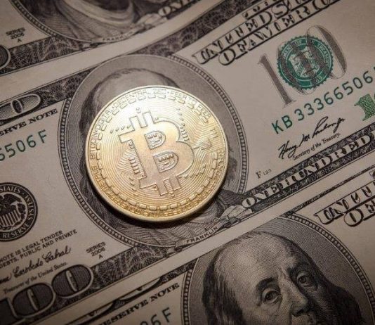 Cryptocurrency vs. Fiat Currency