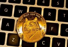 Dogecoin (DOGE)