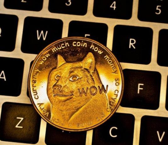 Dogecoin (DOGE)