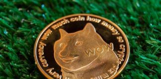 Dogecoin News