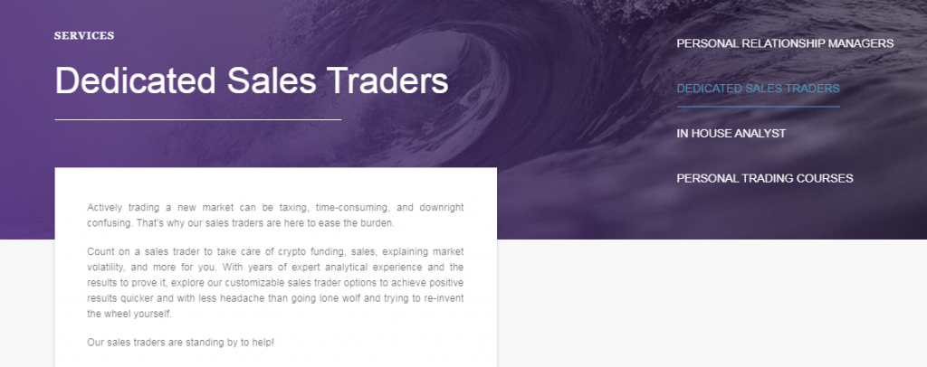 AnalystQ Review - Services