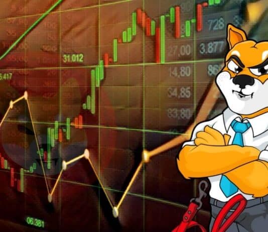Shiba Lands Will Soon Be Up for Grabs