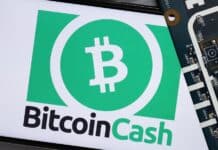 Bitcoin Cash Registers a Significant Rise After a Constant Fall
