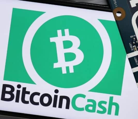 Bitcoin Cash Registers a Significant Rise After a Constant Fall